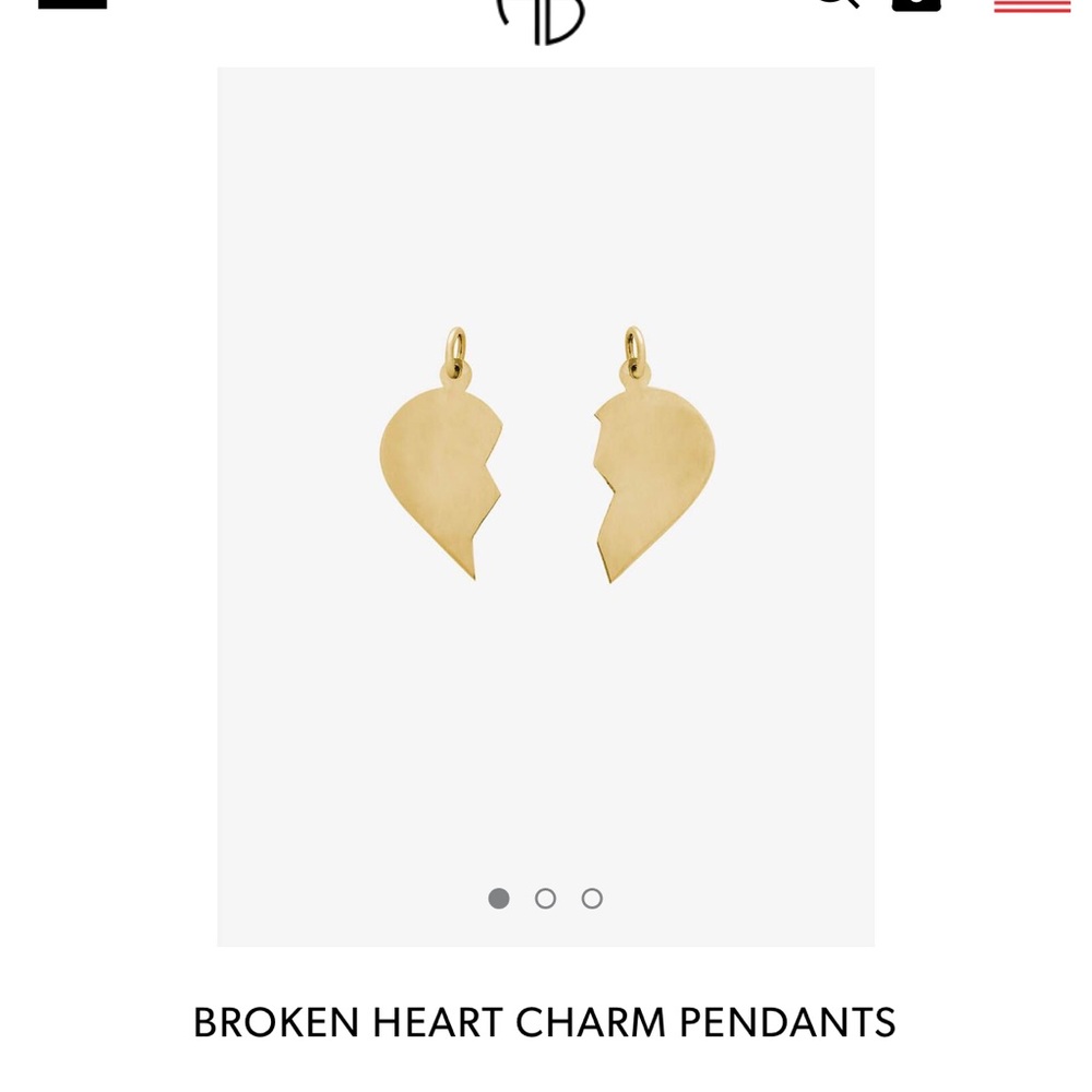 ****ISO***Anine Bing broken heart charm necklace.